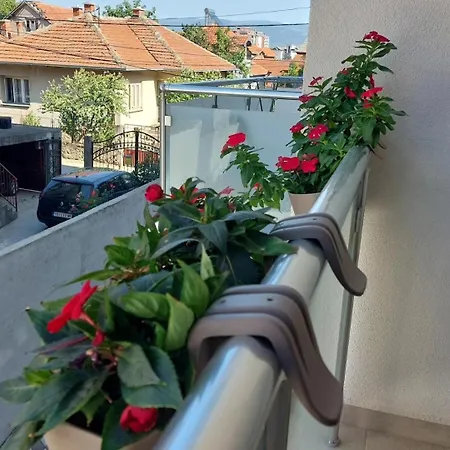 Slatki Snovi - Novi U Centru Vranja - Free Parking *