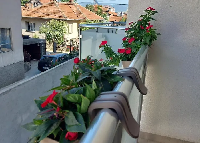 Slatki Snovi - Novi U Centru Vranja *